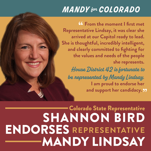 Colorado State Representative Shannon Bird Endorses Representative Mandy Lindsay